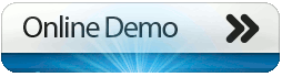 Online Demo