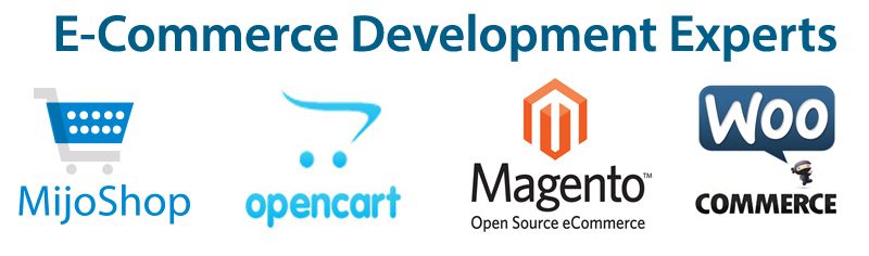 ecommerce experts